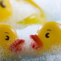 アヒルのバスタイム