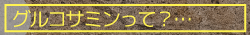 グルコサミンって？…