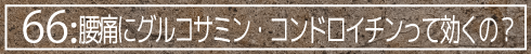 66:腰痛にグルコサミン・コンドロイチンって効くの？