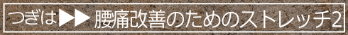 腰痛改善のためのストレッチ2