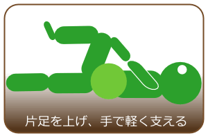 片足を上げ、手で軽く支える