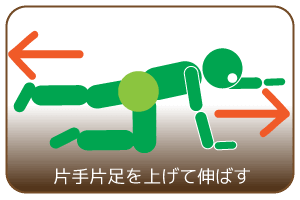 片手片足を上げて伸ばす