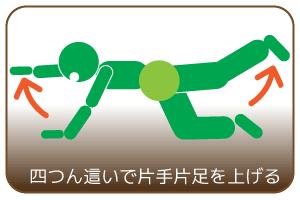 四つん這いで片手片足を上げる