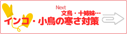 文鳥・十姉妹…インコ・小鳥の寒さ対策