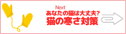あなたの猫は大丈夫? 猫の寒さ対策