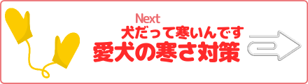 犬だって寒いんです　愛犬の寒さ対策