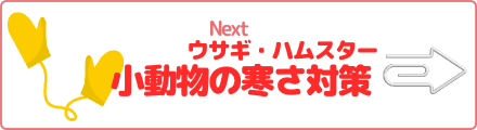 ウサギ・ハムスター　小動物の寒さ対策