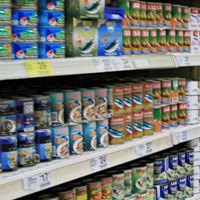 たくさんの缶詰