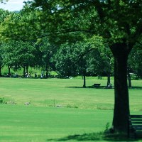 公園