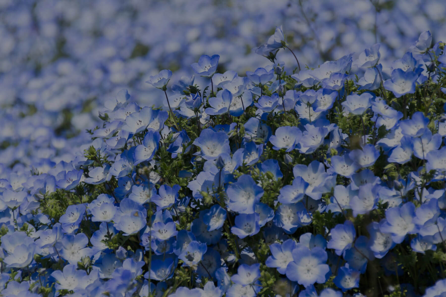 やっておきたい夏本番前の下準備その2