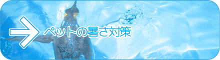 ペットの暑さ対策