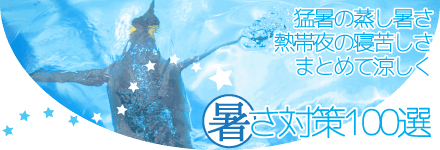 暑さ対策100選 猛暑の蒸し暑さ　熱帯夜の寝苦しさ　まとめて涼しく