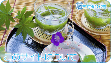 このサイトについて