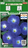 サカタのタネ 朝顔 西洋系ヘブンリーブルー
