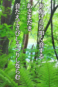 あかげらの叩く音するあさまだき　音たえてさびしうつりしならむ