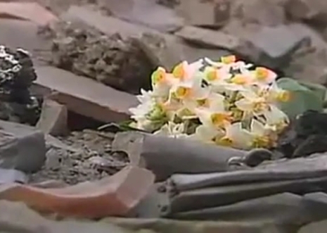 献花された水仙