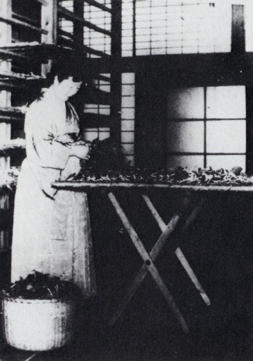 御養蚕室での香淳皇后陛下