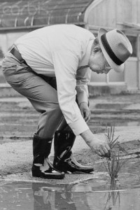 お田植えをされる昭和天皇
