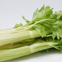 セロリ