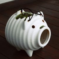 蚊取り豚